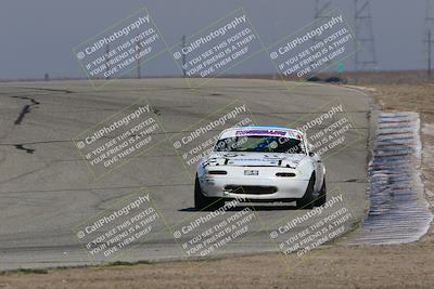 media/Feb-04-2023-Turn8 Trackdays (Sat) [[beeaee2017]]/Intermediate 1/Session 3 (Outside Grapevine)/